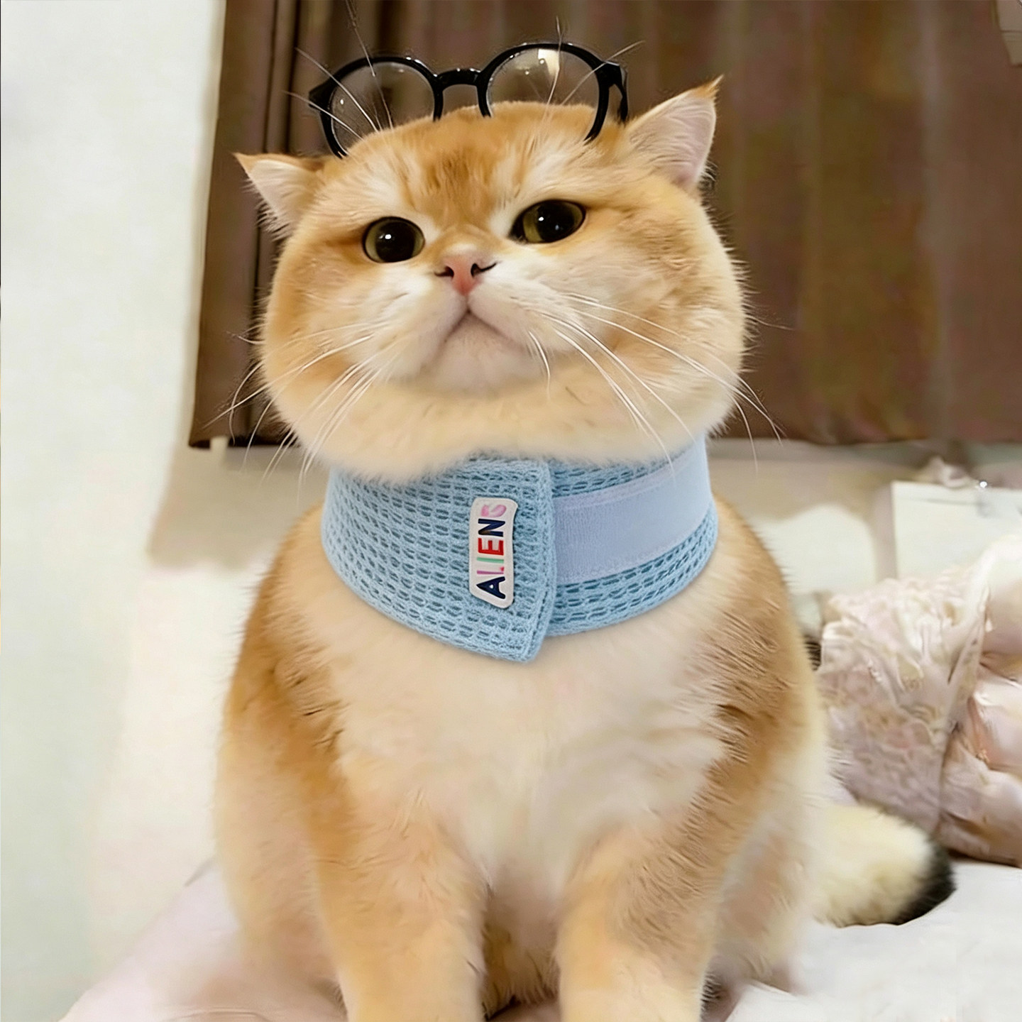 猫咪护颈脖圈术后防舔抓伤口狗狗头套伊丽莎白圈保护颈椎支撑脖子