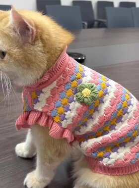 小猫咪衣服秋冬防掉毛金渐层布偶蓝猫无毛猫保暖冬天宠物厚款毛衣