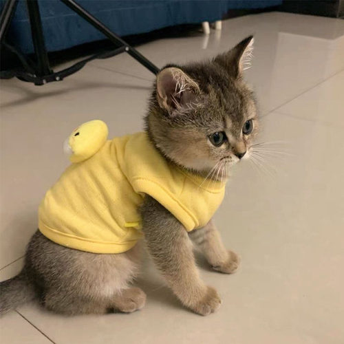 猫咪衣服春秋季新生幼猫保暖背心