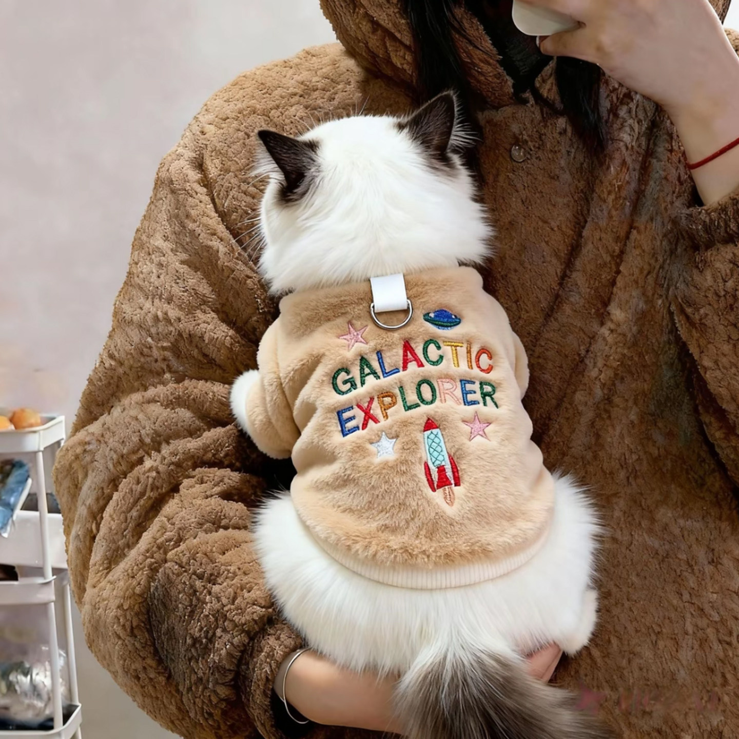 小猫咪衣服新款秋冬布偶英短可爱卫衣小型幼犬比熊保暖可牵引棉衣