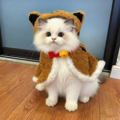 猫咪衣服保暖披风加绒加厚冬季布偶银渐层可爱睡袍小型犬老虎斗篷