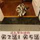 防猫抓神器驱狗网垫刺钉防爬刺钉防猫咪垫宠物防尿上床沙发挠通用