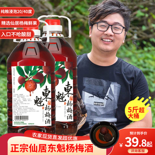 正宗浙江仙居5斤桶装杨梅果酒农家自酿高度粮食烧酒梅子浸泡3斤