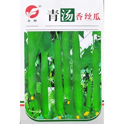 丰邦青汤长丝瓜种子不黑汤