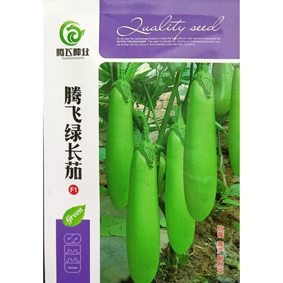 中农长丰绿长茄子种子长条茄种籽