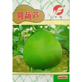 丰邦圆葫芦种子青皮圆瓠子葫芦圆形蒲瓜瓜圆蒲夜开花蔬菜种籽5克