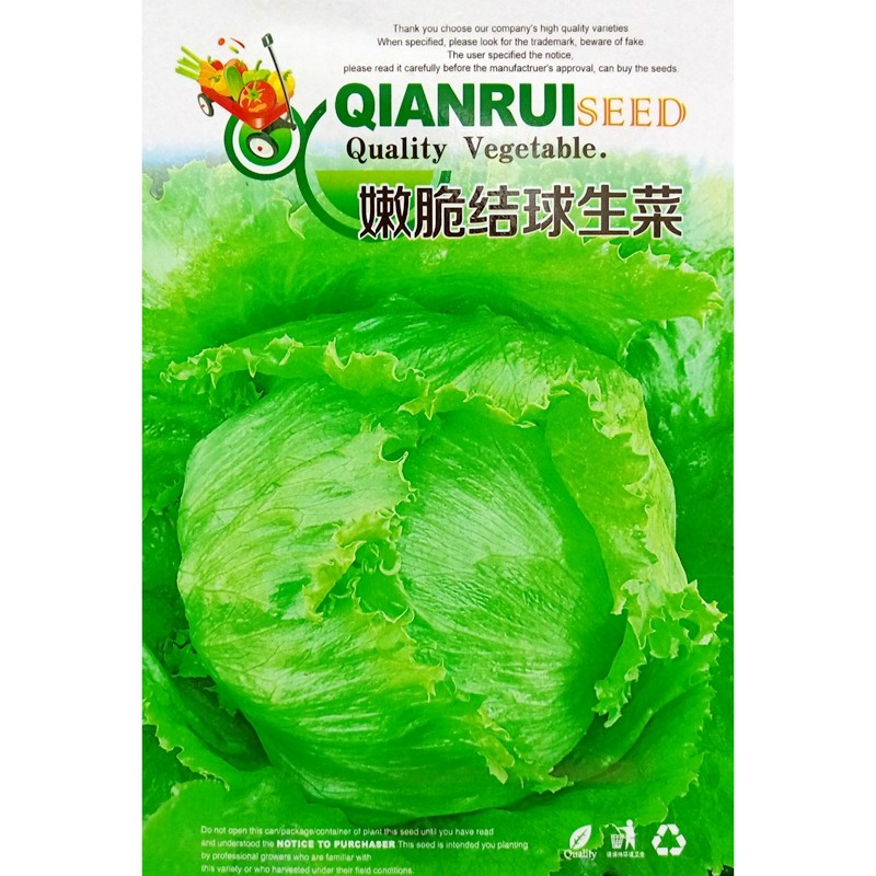 结球生菜种子包心型球形生菜籽蔬菜种籽春秋四季播种3克5克