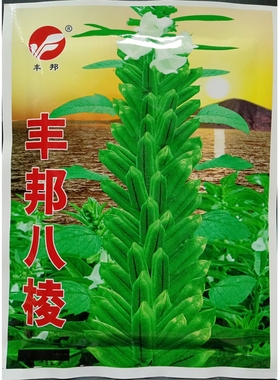 丰邦八棱白芝麻种子早熟高产腿短开花早籽大粒白稳产种籽150克/袋