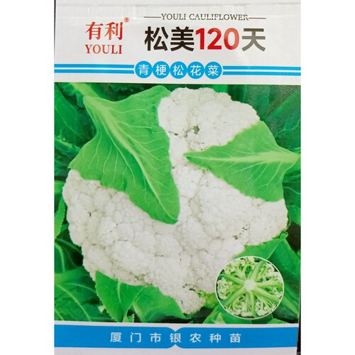 松美120天松花菜种子青梗松散花椰菜晚熟大球雪白菜花种籽2克