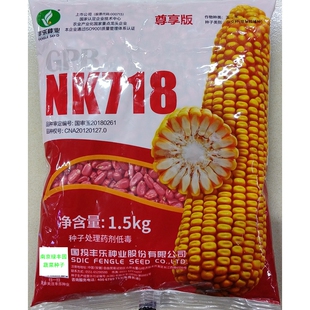 丰乐NK718大棒大粒黄玉米种子鲜食或饲料用苞米谷蜀黍棒子种籽3斤