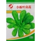 小板叶茼蒿种子耐寒圆叶青茼杆叶蒿子叶种籽春秋蔬菜10克约2000粒