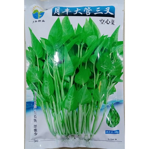 三叉空心菜种子通心菜三岔500克