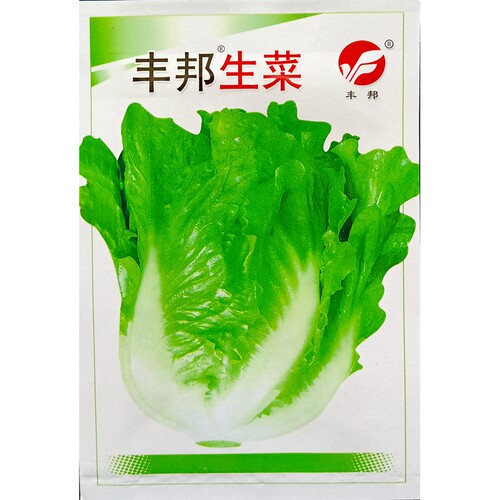 意大利生菜耐抽苔生菜种子叶片大