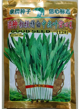 港种粗梗特白中尖叶空心菜种子128白茎梗细叶藤蕹菜通心菜籽400克