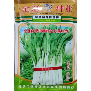 金冠白梗中柳叶329空心菜种子粗梗白茎蕹菜通心藤藤菜种籽450克