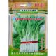 金冠白梗中柳叶329空心菜种子粗梗白茎蕹菜通心藤藤菜种籽450克