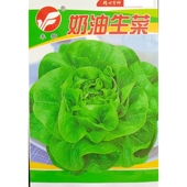 奶油生菜种子圆叶凉拌沙拉炒食耐热耐寒不招虫春季 秋5克 袋3000粒