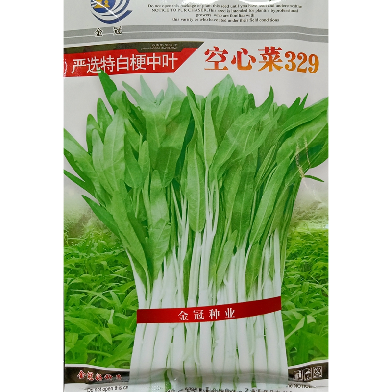 金冠严选特白梗中叶329空心菜种子粗梗白茎蕹菜通心藤菜种籽250克