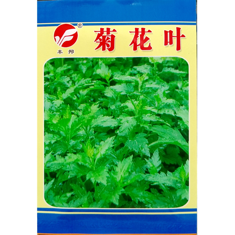 菊花叶种子菊花脑种籽南京地方野菜多年生蔬菜籽春秋3克约10000粒-封面