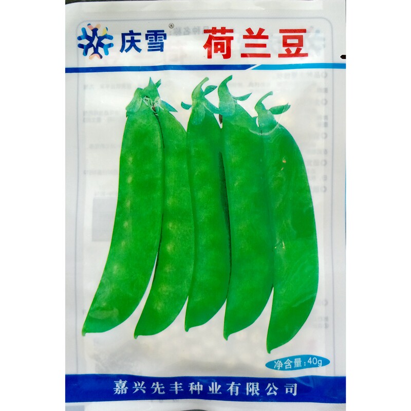 庆雪荷兰豆种子青豆大长荚脆嫩食荚豌豆种籽蔬菜种40克/袋约200粒