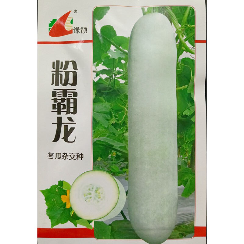 绿领粉霸龙冬瓜种子杂交80-85厘米长圆柱型粉白皮大节瓜种籽200粒