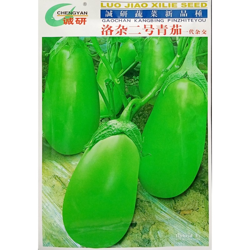 诚研种子绿皮茄子罐形青皮10克