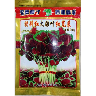 大圆叶红苋菜种子港种998特别红大红圆叶花红汉菜汗菜籽1斤500克
