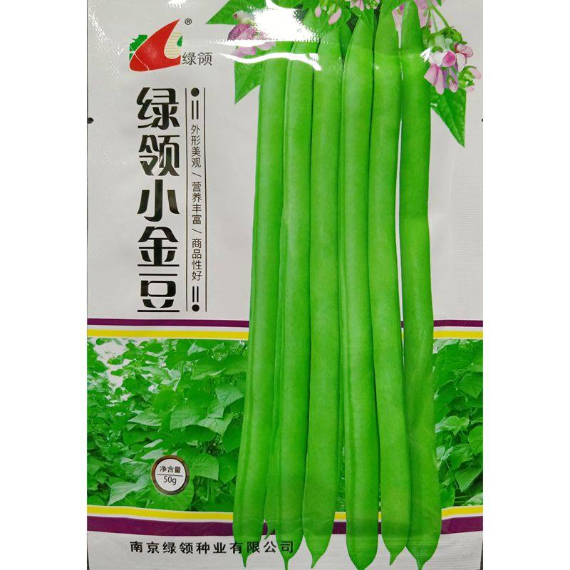 小金豆种子长棍型红花四季豆菜豆长架豆18-25厘米豆角籽春秋40克,农用物资,蔬菜种子/种苗,淘宝优惠券,粉丝福利购,淘宝优惠卷