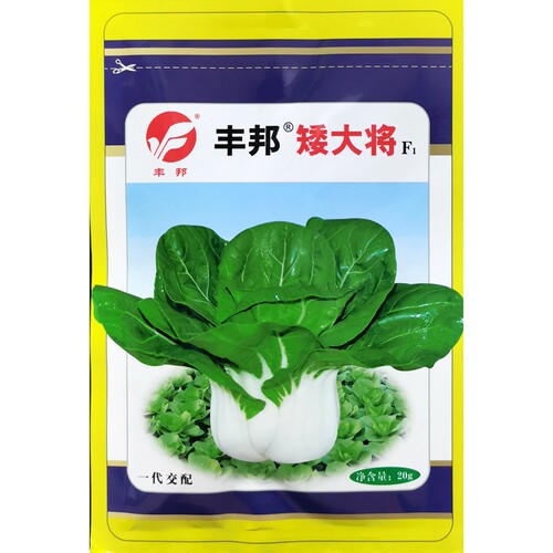 矮大将矮脚黄丰邦杂交小白菜种子