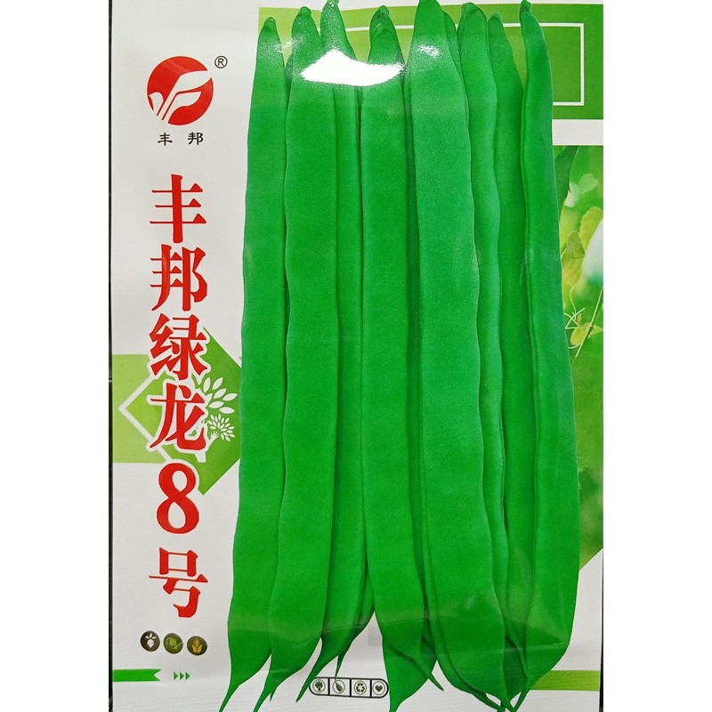丰邦绿龙8号芸豆种子早熟蔓生搭架长宽荚无筋四季豆豆角菜豆30克,农用物资,蔬菜种子/种苗,淘宝优惠券,粉丝福利购,淘宝优惠卷