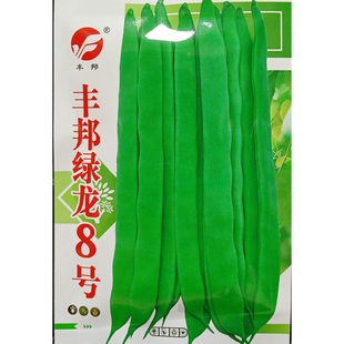 丰邦绿龙8号芸豆种子早熟蔓生搭架长宽荚无筋四季豆豆角菜豆30克