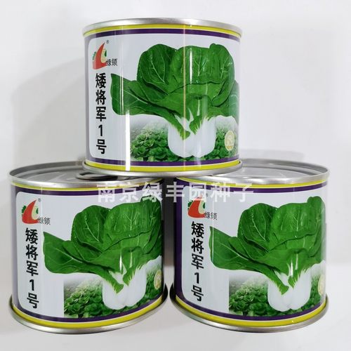 绿领矮将军1号矮脚黄种子小白菜