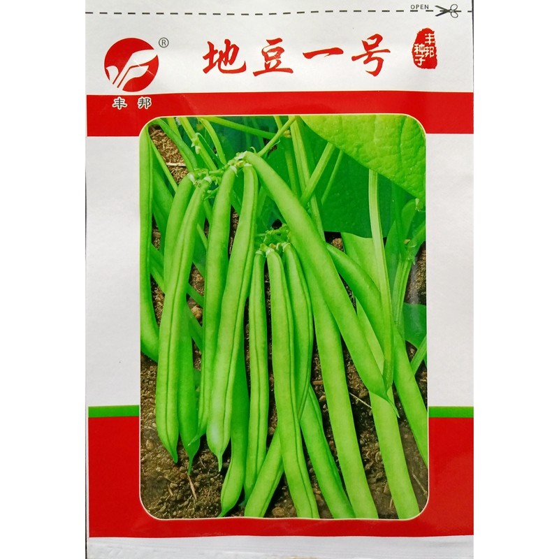 地豆1号无架四季豆种子无蔓不搭架不爬藤豆角菜豆种籽20克/约50粒,农用物资,蔬菜种子/种苗,淘宝优惠券,粉丝福利购,淘宝优惠卷