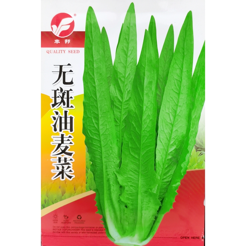 油麦菜种子四季种植蔬菜