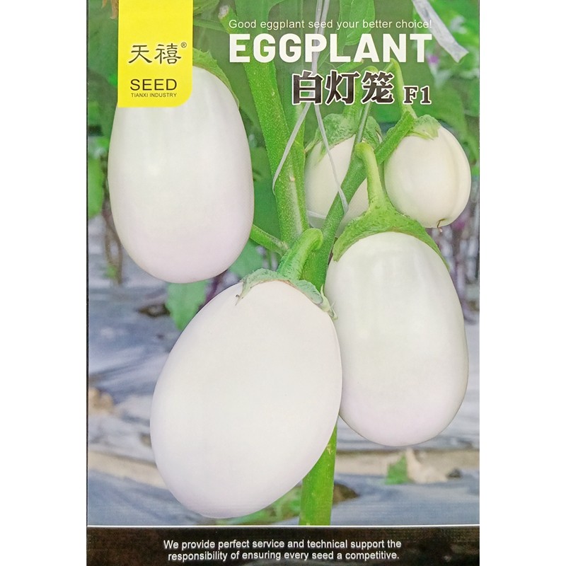 天禧白灯笼茄子种子白罐茄蛋茄杂交白皮白肉罐形椭圆蛋形200粒/袋