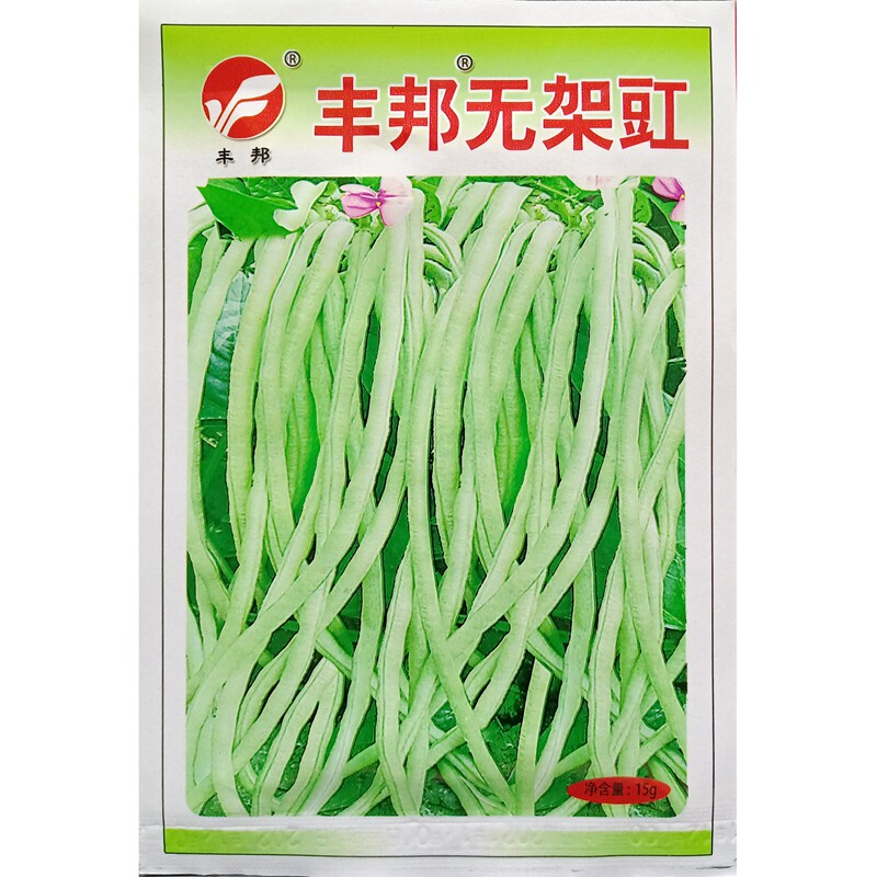 无架豇豆种子无蔓长豆角缸豆江豆种籽蔬菜春夏秋季播15克约100粒