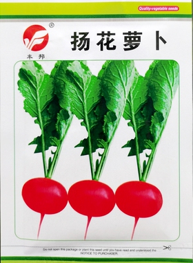 扬花萝卜种子樱桃罗卜种籽小红圆洋花杨花春天秋季10克/袋500粒