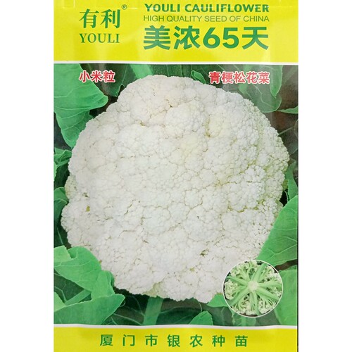 美浓65天松花椰菜青梗耐寒种子