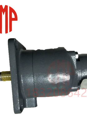 进口塞纳瑞液压泵SQP41-75-10-86DD注塑机械油泵电动齿轮泵