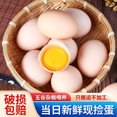 农家散养土鸡蛋正宗柴鸡蛋新鲜笨鸡蛋现捡现发谷物喂养初生蛋整箱