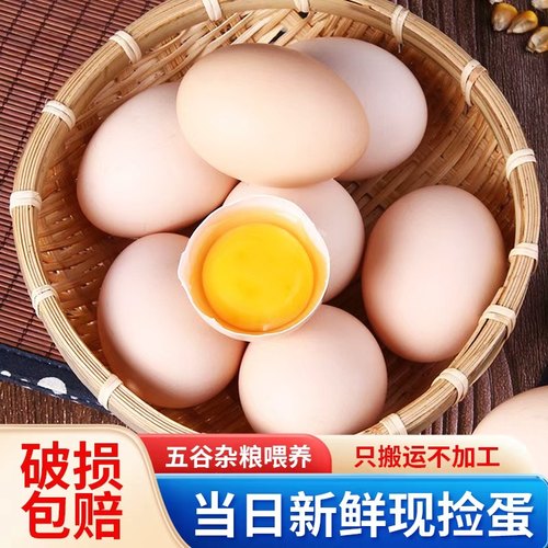 农家散养土鸡蛋正宗柴鸡蛋新鲜笨鸡蛋现捡现发谷物喂养初生蛋整箱