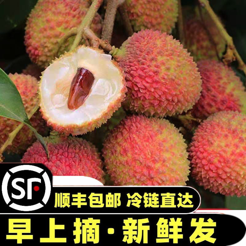 【顺丰包邮】广东廉江新鲜荔枝现荔枝