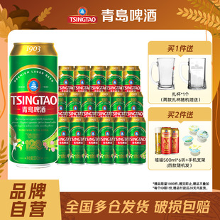 18听精心慢酿麦香浓郁 青岛啤酒精酿1903系列500ml 肖战同款