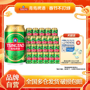 青岛啤酒1903四季常青小罐易拉罐330ml*24听口感清爽整箱包邮