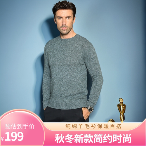 范帝尼春秋新款时尚简约商务男士纯羊毛衫男款毛衣基础款2337473