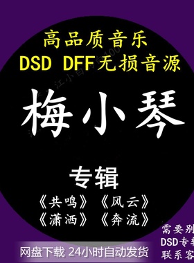 梅小琴音乐专辑：《共鸣》 DSD/DFF无损高品质HIFI母带音源下载