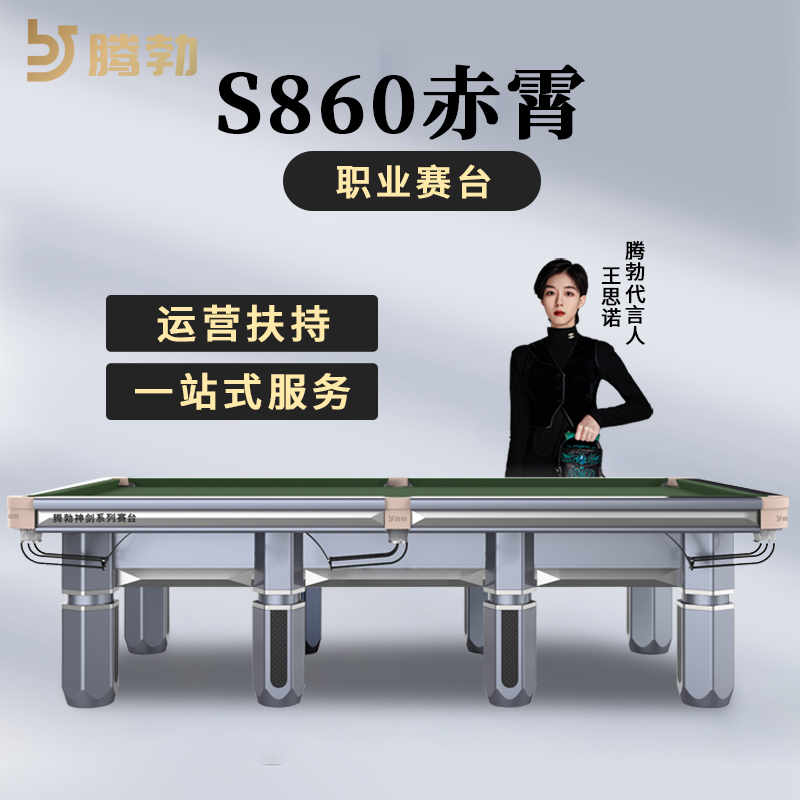 腾勃斯诺克台球桌家用标准型成人英式小斯诺克黑八桌球台商用钢库