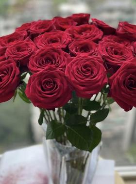 红色玫瑰60cm左右任意两单顺丰包邮云南鲜花直发0下需拍保温棉