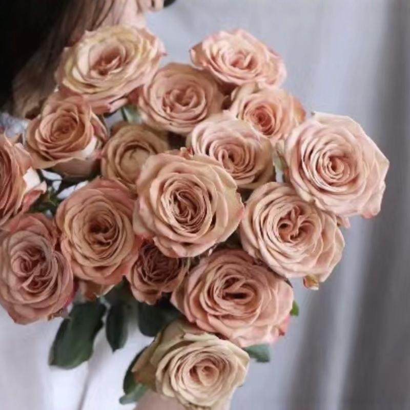 张良-卡布奇诺玫瑰任意两单包邮云南鲜花直发0下需拍保温棉,鲜花速递/花卉仿真/绿植园艺,花材,淘宝优惠券,粉丝福利购,淘宝优惠卷