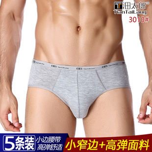 头杈5条 莫代尔中腰高弹力透气简约舒适三角底裤 沺田太郎男士 内裤